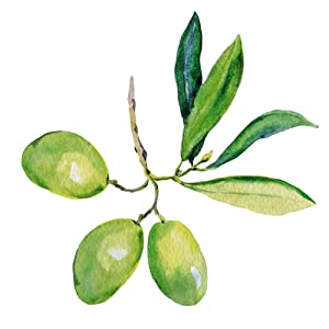 nature olive