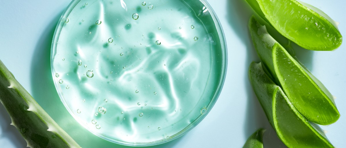 Aloe vera propiedades