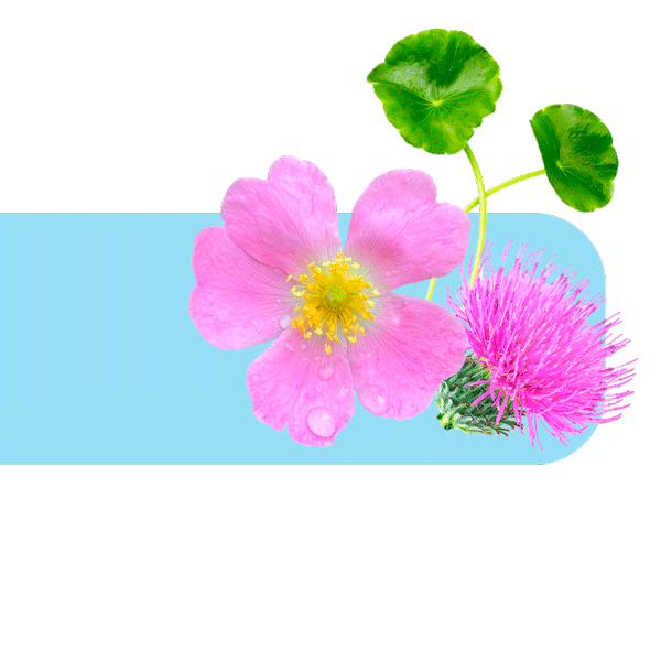 Ingredientes rosa mosqueta y centella asiática