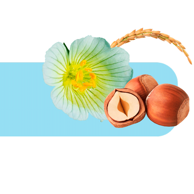 Aceites naturales de avellana