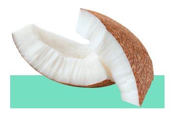 Ingrediente polvo de cáscara de coco