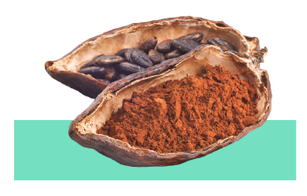 Ingrediente extracto de cacao