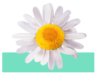 Ingrediente bisabolol orgánico