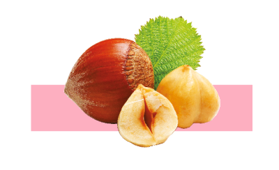 Ingrediente aceite de avellana