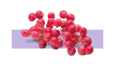 Ingrediente activo Slimexir