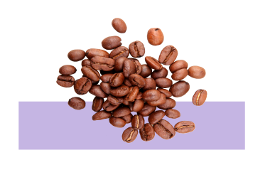 Ingrediente cafeína