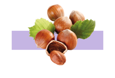 Ingrediente aceite activo de avellana
