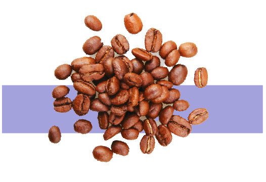 Ingrediente cafeína