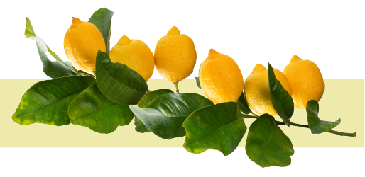 Icono Complejo Antiestrías: Green Bean extract Rutina