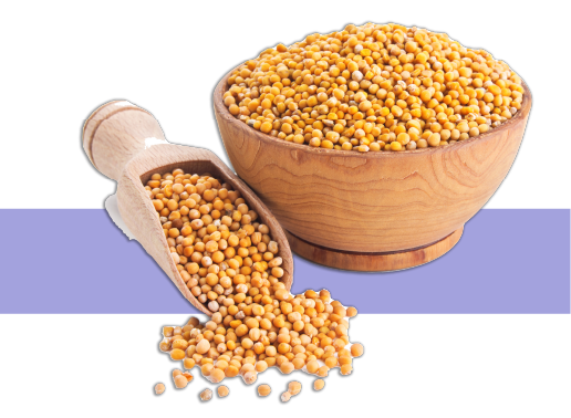 Icono grano de mostaza