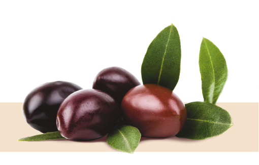 Complejo molecular derivado de la combinación natural de ácidos grasos de la oliva.