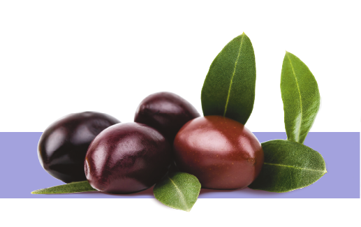 Icono ácidos grasos de la oliva