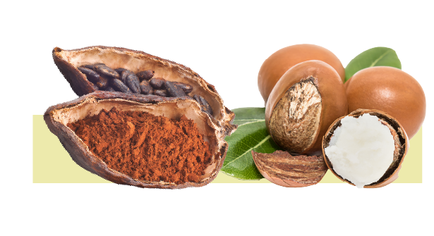 Icono Mantecas de Karité y Cacao