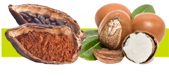 Icono Mantecas de Karité y Cacao