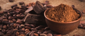 ¿Qué es la teobromina