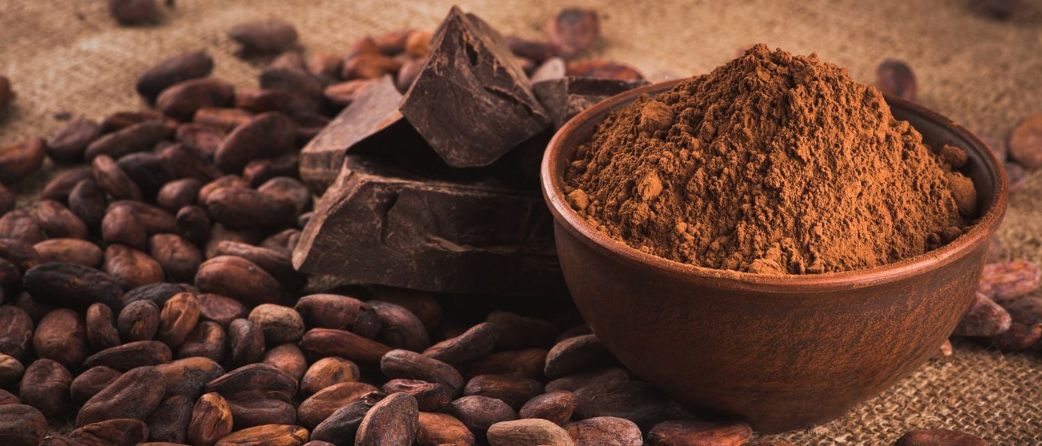 ¿Qué es la teobromina